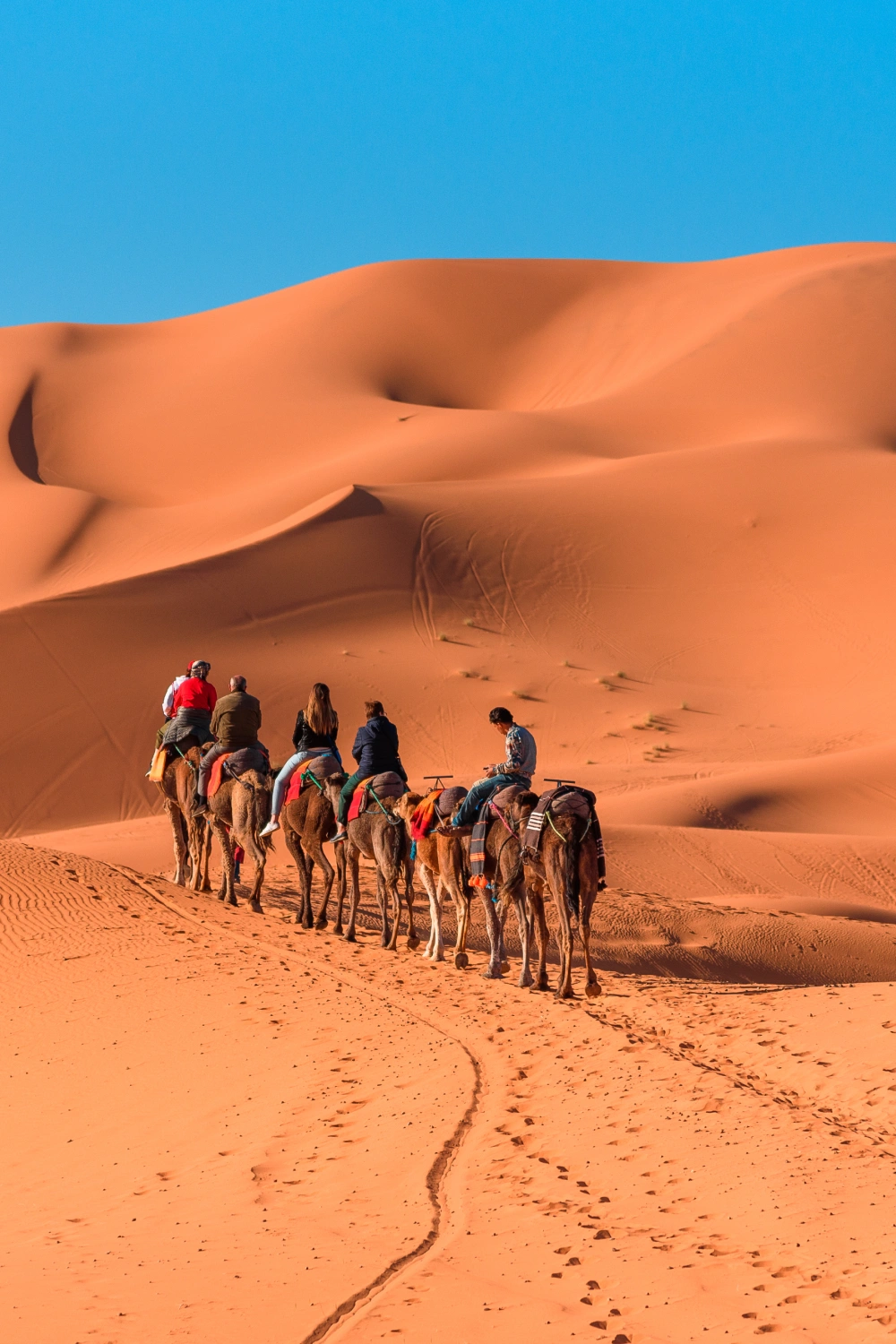 20 Dubai Shopping & Adventure Tour 11x.webp